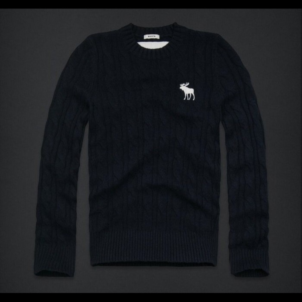 NWT Abercrombie kids 100% wool sweater